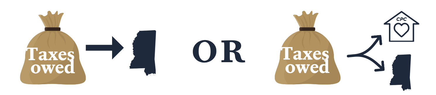 Individual Tax Credit Graphic